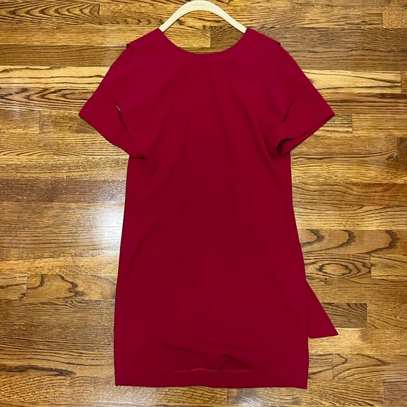 IRO Dresses & Skirts - IRO Hilda Red Mini Dress with plunging open back Size 36